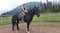 Horse ad