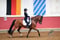 Annuncio cavallo