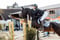 Horse ad