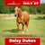 Horse ad