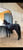 Horse ad