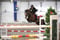 Horse ad