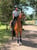 Annonce cheval