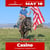 Anuncio de caballos