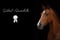 Horse ad