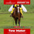 Paardadvertentie
