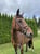 Horse ad