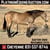 Horse ad