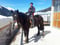 Horse ad