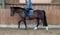 Annuncio cavallo