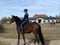 Annuncio cavallo