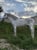 Horse ad