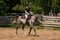 Annuncio cavallo