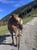 Horse ad