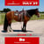 Horse ad