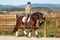 Annuncio cavallo