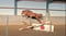 Annonce cheval
