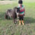Annonce cheval