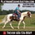 Horse ad