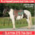 Horse ad