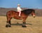 Horse ad