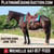 Horse ad