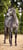 Annuncio cavallo