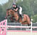 Annuncio cavallo