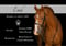 Anuncio de caballos