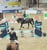 Annuncio cavallo