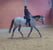 Horse ad