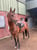 Horse ad