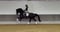 Horse ad