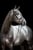 Horse ad