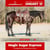 Horse ad