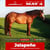 Horse ad