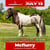 Horse ad