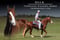 Horse ad