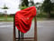Pferdeinserat
