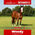 Paardadvertentie