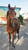 Horse ad