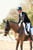 Annonce cheval