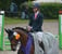 Pferdeinserat
