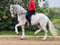 Horse ad