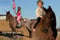 Annuncio cavallo