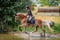 Horse ad