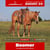 Paardadvertentie