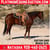 Horse ad