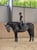 Annuncio cavallo