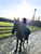 Horse ad